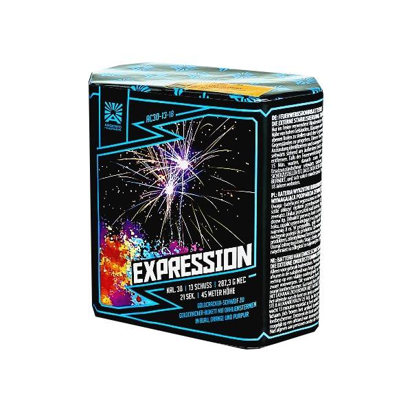 Argento Expression 13 Schuss Batterie
